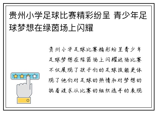 贵州小学足球比赛精彩纷呈 青少年足球梦想在绿茵场上闪耀