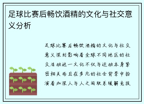 足球比赛后畅饮酒精的文化与社交意义分析