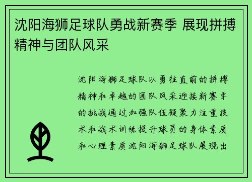 沈阳海狮足球队勇战新赛季 展现拼搏精神与团队风采