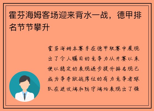 霍芬海姆客场迎来背水一战，德甲排名节节攀升