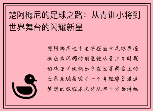 楚阿梅尼的足球之路：从青训小将到世界舞台的闪耀新星