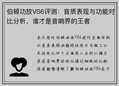 伯顿功放VS6评测：音质表现与功能对比分析，谁才是音响界的王者
