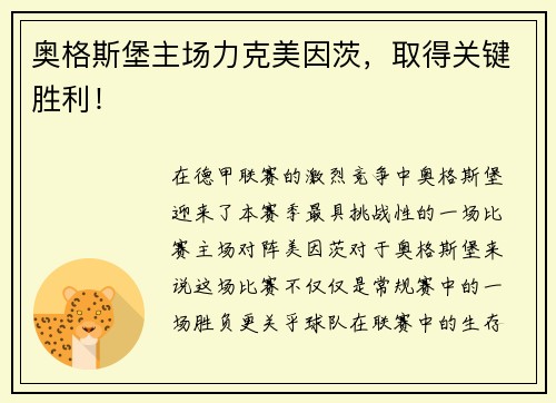 奥格斯堡主场力克美因茨，取得关键胜利！