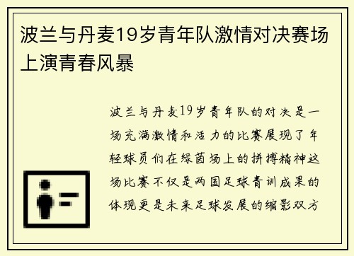 波兰与丹麦19岁青年队激情对决赛场上演青春风暴